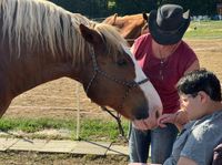 Reittherapie / Kennenlernen