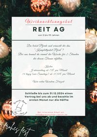 Weihnachtsangebot Reit AG_1