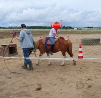 Reitp&auml;dagogik